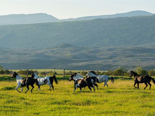 The Gates Ranch, Colorado Mountain : Burns : Eagle County : Colorado