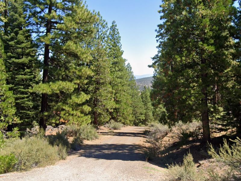 Mountain Getaway : Alturas : Modoc County : California