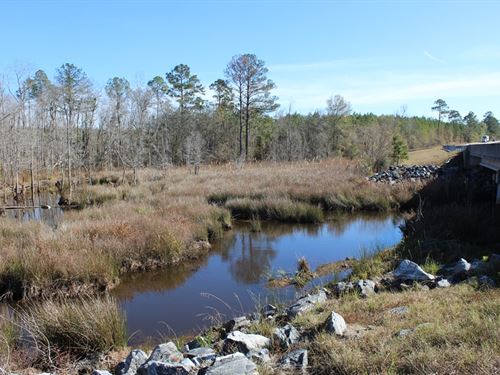 Medium Sized Homesite : Dublin : Laurens County : Georgia