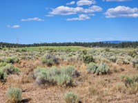 1.76 Acres with Paved Road & Power : Beatty : Klamath County : Oregon