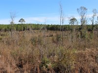 Homestead/ Recreational/ Investment : Dublin : Laurens County : Georgia