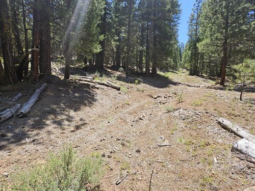 A Peaceful Mountain Retreat : California Pines : Modoc County : California