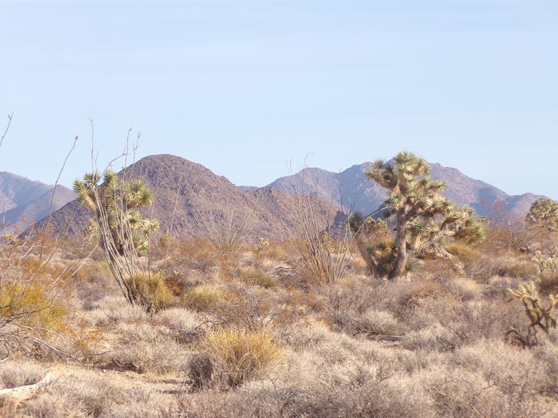 Create Your Desert Hideaway : Yucca : Mohave County : Arizona