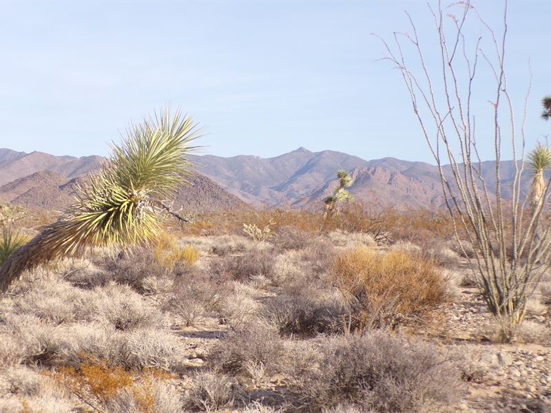 Create Your Desert Hideaway : Yucca : Mohave County : Arizona