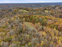 Vaughn Ridge Farm, Montgomery Co : Indian Mound : Montgomery County : Tennessee