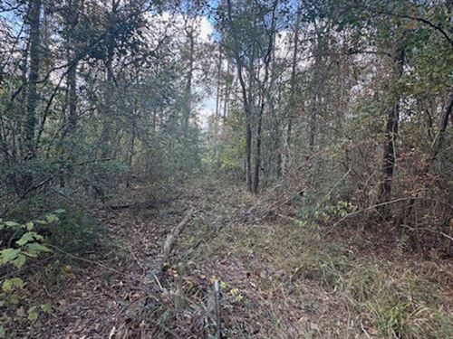 Righthand Creek Tract, Allen Parish : Ragley : Allen Parish : Louisiana