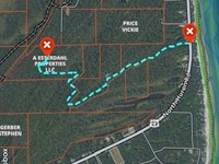 70 Acres, Vacant, W Ausable Point : Oscoda : Iosco County : Michigan