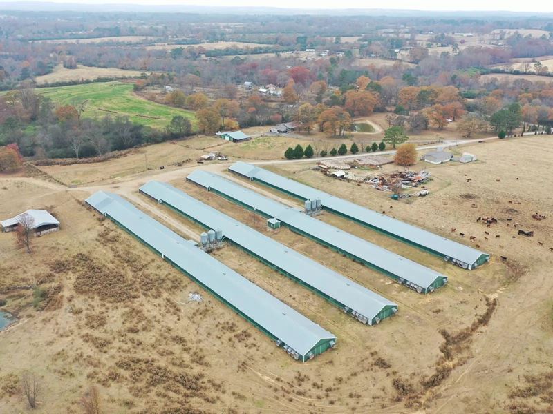 Brothers L&D Broiler Farm : Boaz : Marshall County : Alabama