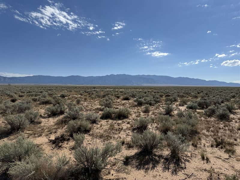 Your 5 Acre Escape Awaits : Los Lunas : Valencia County : New Mexico