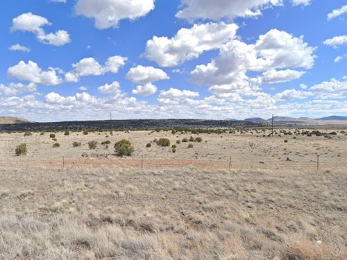 1.32 Acres to Roll in and Live Wild : Concho : Apache County : Arizona