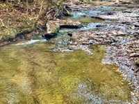 Highway 36 E, Tract 4 : Jackson : Butts County : Georgia