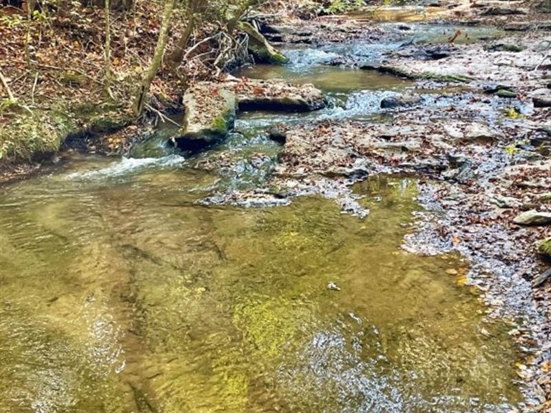 Highway 36 E, Tract 4 : Jackson : Butts County : Georgia