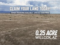 Starter Desert Investment Lot : Willcox : Cochise County : Arizona