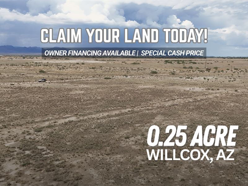 Starter Desert Investment Lot : Willcox : Cochise County : Arizona