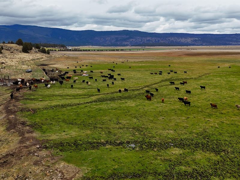 Brookside Ranch : Klamath Falls : Klamath County : Oregon