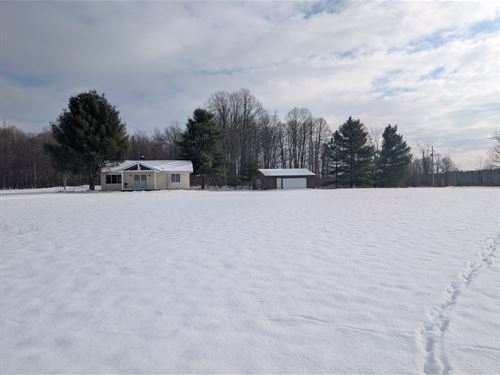 90 Acres Total of Prime Mixed Habit : Manton : Missaukee County : Michigan
