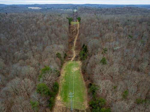 130 Acre Turn-Key Hunting Proper : Belton : Muhlenberg County : Kentucky