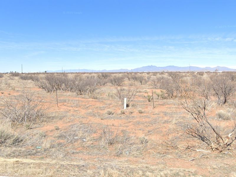 Fresh Start on Land That Gives Back : Sunizona : Cochise County : Arizona