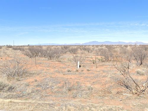 Fresh Start on Land That Gives Back : Sunizona : Cochise County : Arizona