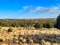 Power & Water by Concho Falls : Concho : Apache County : Arizona