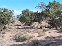 Perfect Off-Grid Homestead : Sanders : Apache County : Arizona