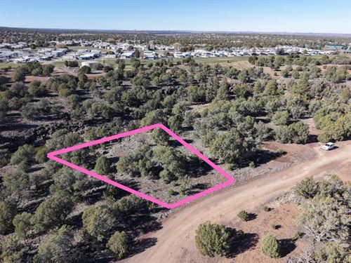 Great Cash Deal on 0.25 Acre Lot : Show Low : Navajo County : Arizona