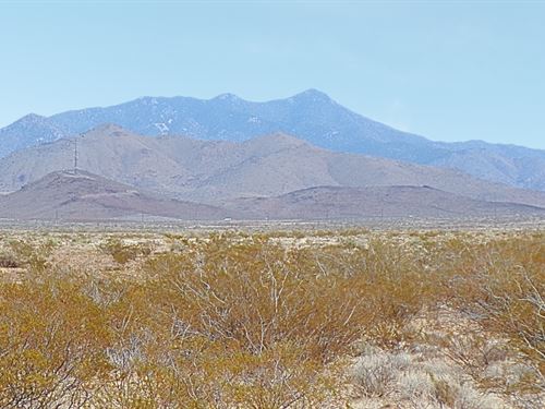 Affordable 5 Acre Homestead Lot : Golden Valley : Mohave County : Arizona