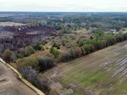 8 Acres in Sunflower County in Meri : Merigold : Sunflower County : Mississippi