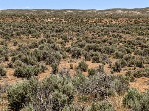 Nevada Private Desert Haven : Elko : Nevada