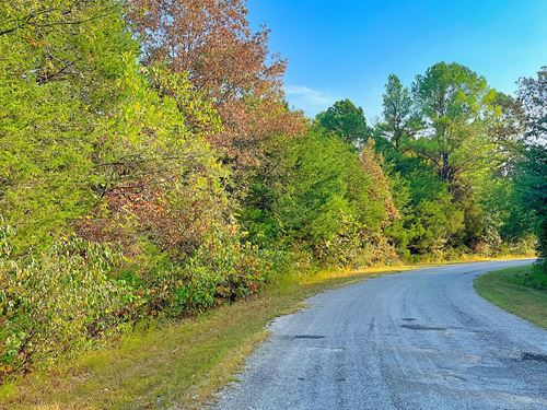 Nature in Back, Crown Lake in Front : Horseshoe Bend : Izard County : Arkansas