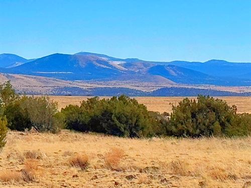 Real Assets with Mountain Views : Concho : Apache County : Arizona