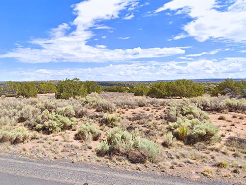 Best Investment Deal for $57/Down : Sanders : Apache County : Arizona