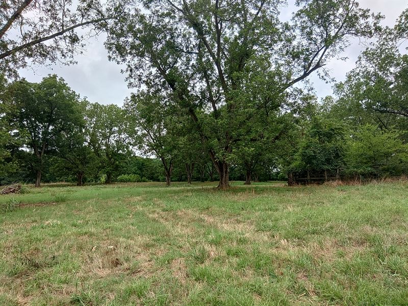 Pasture, Pecan Grove & Creek : Culloden : Monroe County : Georgia
