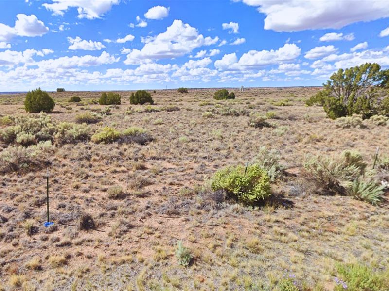 Most Explosive 1.15 Acre Deal : Sanders : Apache County : Arizona
