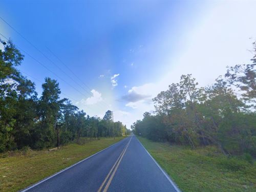 .22 Acres in Interlachen for Sale : Interlachen : Putnam County : Florida