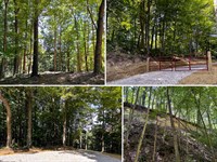 Tract 8 at The Woods at Titus : Langsville : Jackson County : Ohio