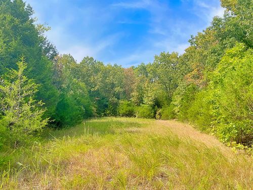 Private Cul-De-Sac by Diamond Lake : Horseshoe Bend : Izard County : Arkansas