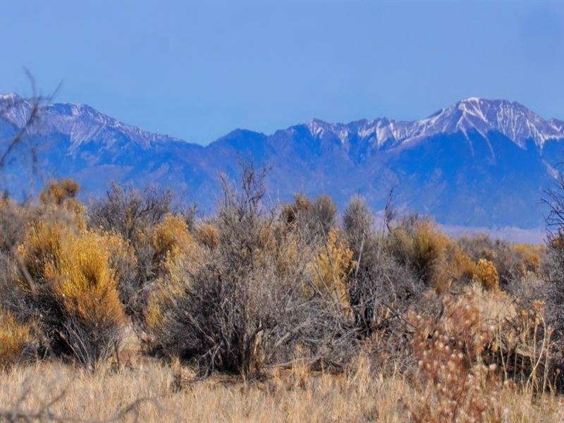 Our Most Beautiful Alamosa Property : Alamosa : Alamosa County : Colorado