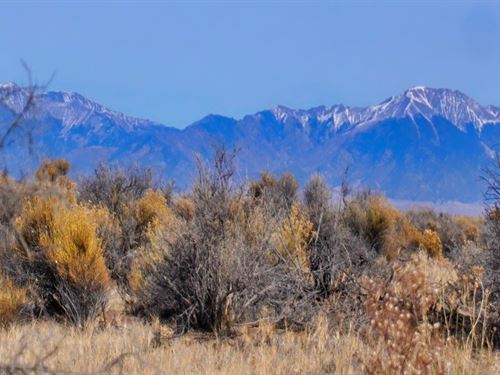 Our Most Beautiful Alamosa Property : Alamosa : Colorado