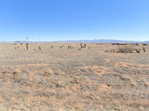 A Legacy You Can Hold Forever : Sunizona : Cochise County : Arizona