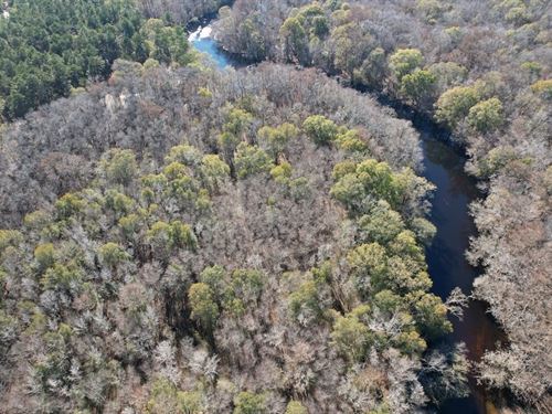 17.3 Acres of Riverfront Land : Evergreen : Columbus County : North Carolina