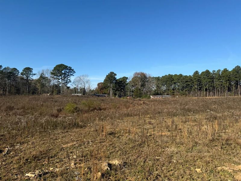 19.4 Acres in Winston County, MS : Louisville : Winston County : Mississippi