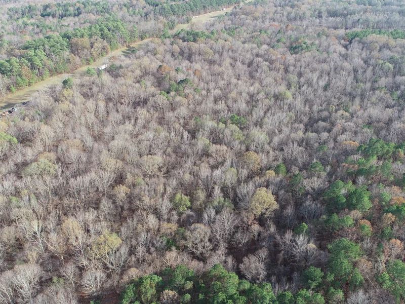 15 Acres in Grenada County, MS : Grenada : Grenada County : Mississippi