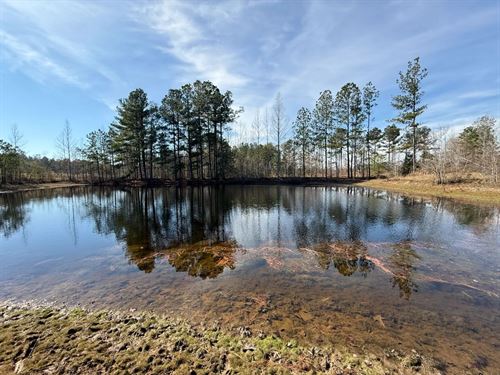 61 Acres in Kemper County, MS : Preston : Kemper County : Mississippi