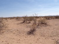 1.25 Acre RV Camping : Dolan Springs : Mohave County : Arizona