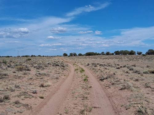 Own Your Private Playground : Sanders : Apache County : Arizona