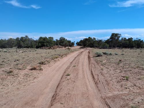 Your Escape Starts Here : Sanders : Apache County : Arizona
