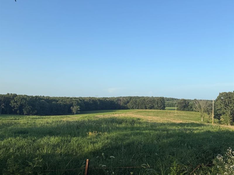 Laclede Co. Hobby Farm : Richland : Laclede County : Missouri