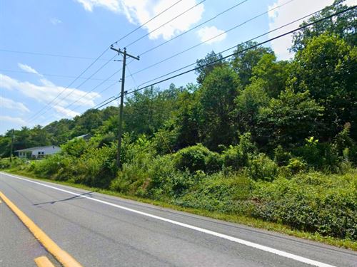 Shaded Retreat with Easy Access : Berkeley Springs : Morgan County : West Virginia