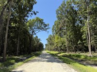 Dungarven Ridge Lot 7, 10 Acres : Micanopy : Marion County : Florida